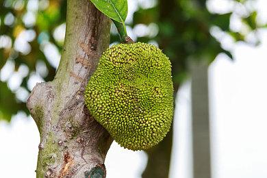 ID@Xbox独立游戏展示会定于7月11日举行